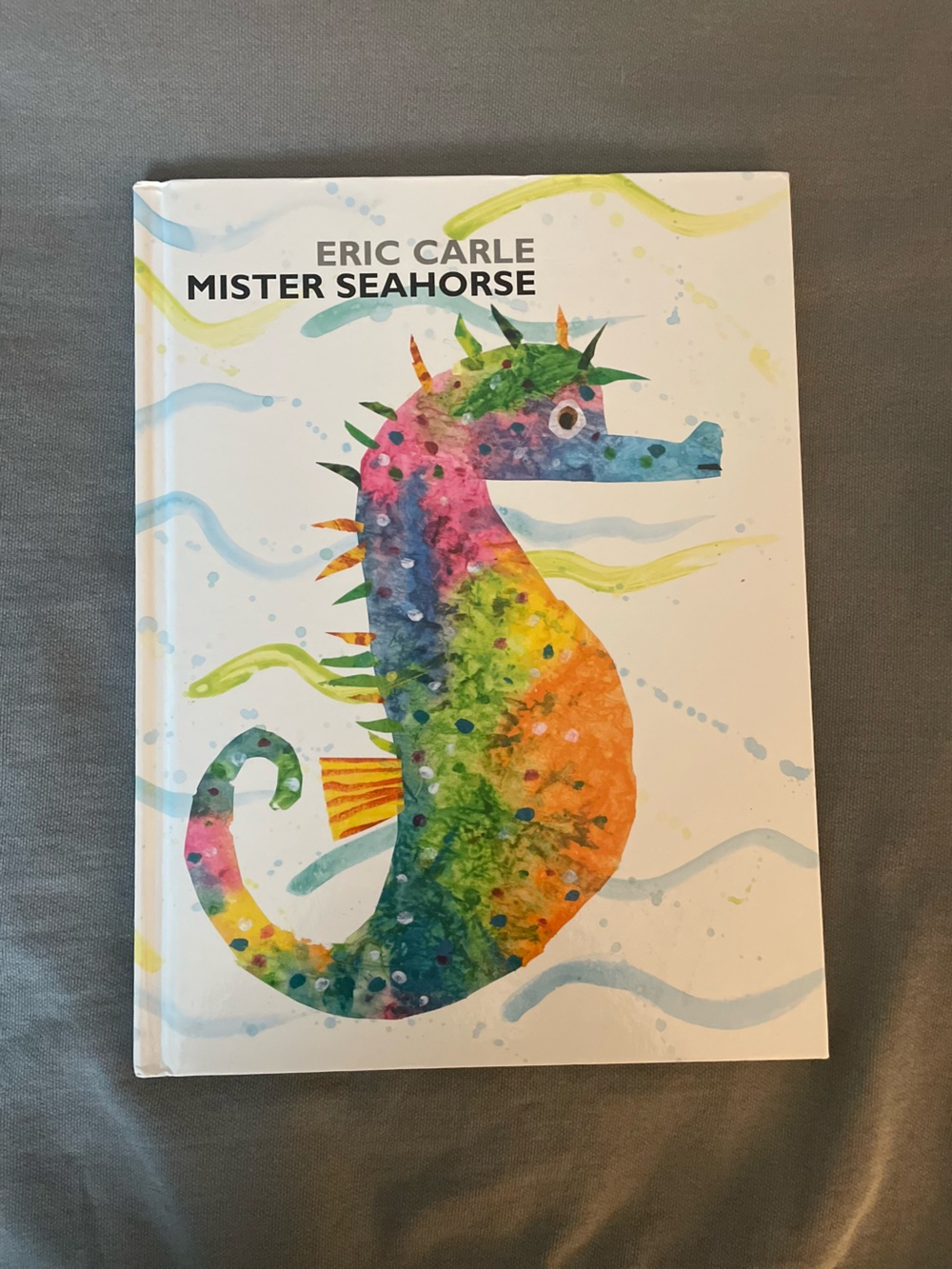 Eric Carle Mister Seahorse Colorful Fish Decor - Multicolored